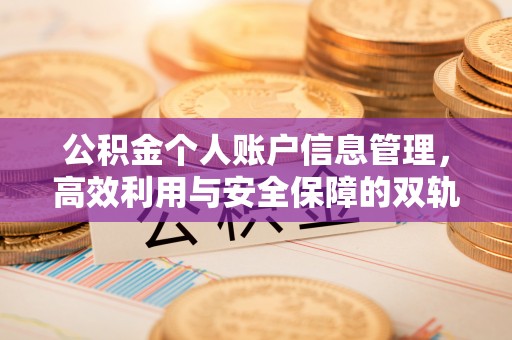 博兴公积金个人账户信息管理，高效利用与安全保障的双轨并行