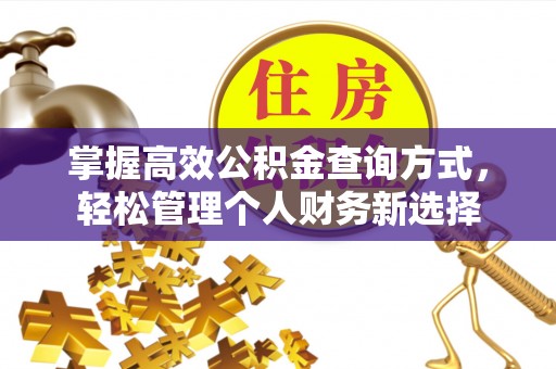 博兴掌握高效公积金查询方式，轻松管理个人财务新选择