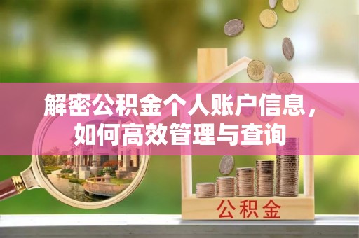 博兴解密公积金个人账户信息，如何高效管理与查询