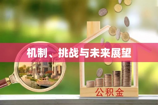 博兴机制、挑战与未来展望